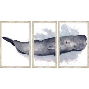 CL- SPERM WHALE TRIPTYCH